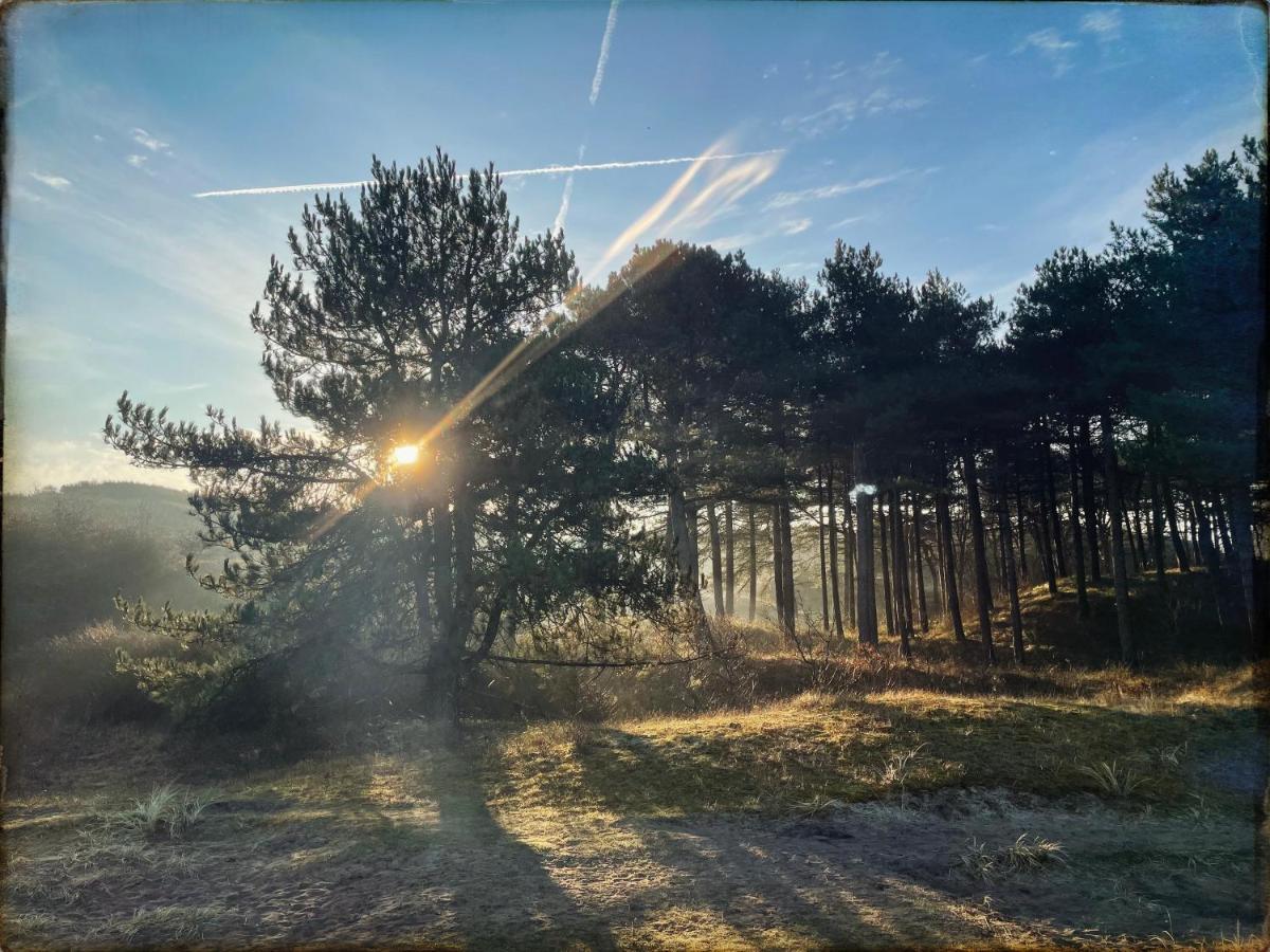 Heerlijk Huisje In Bergen Dış mekan fotoğraf